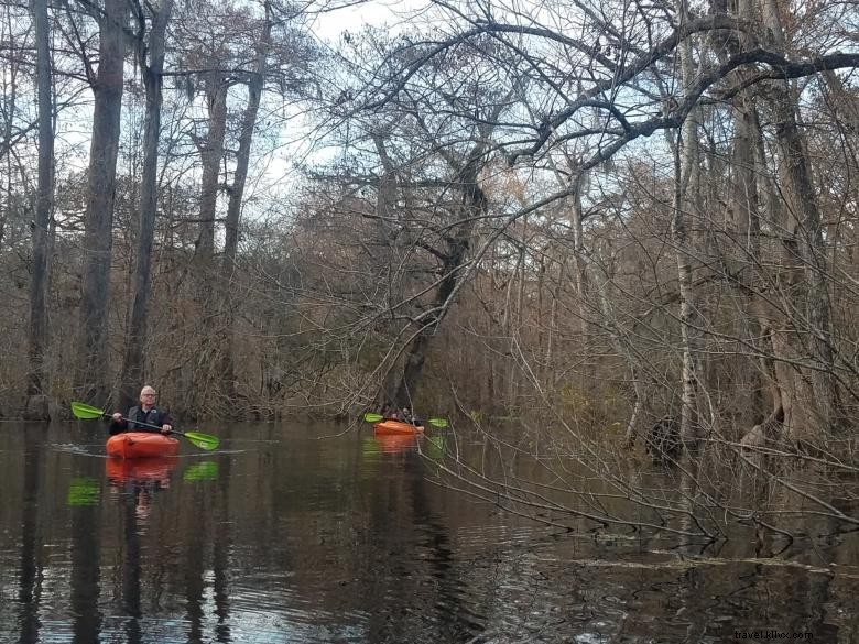 Expéditions dans les eaux stagnantes 