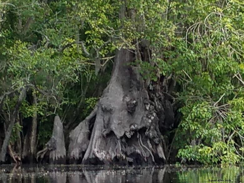 Expedições Backwater 