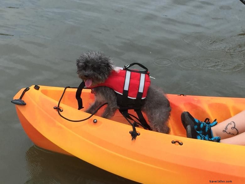Compagnie de kayak Aqua Dawg 