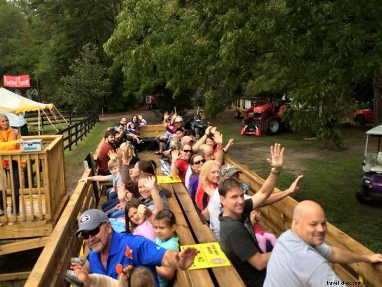 Buford Corn Maze 