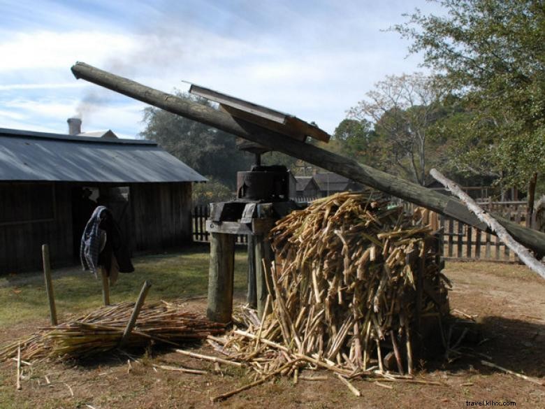 Museo de Agricultura y Pueblo Histórico de Georgia 