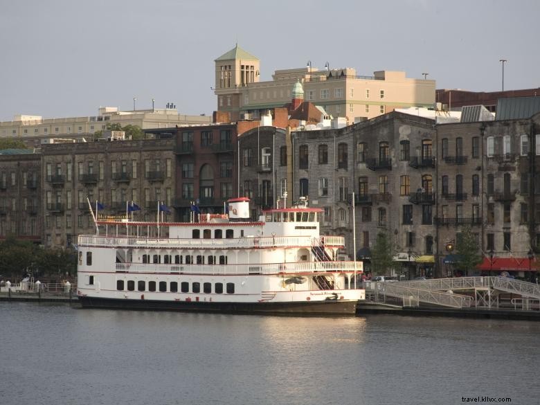 Croisières en bateau sur la savane 