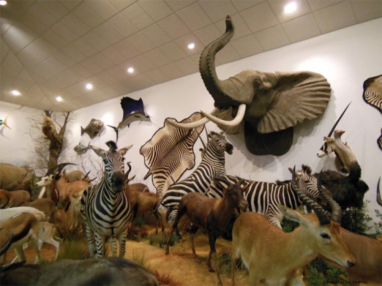 タイソンスチール野生生物博物館 