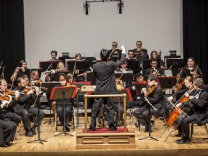 Orchestra Sinfonica Valdosta 