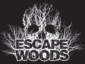 Escape Woods 