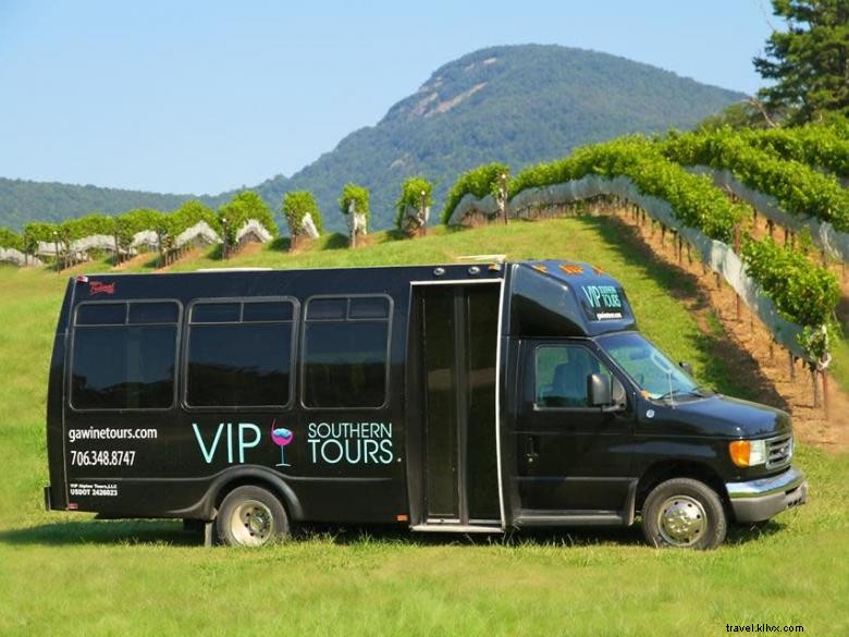 Tours del sur VIP 