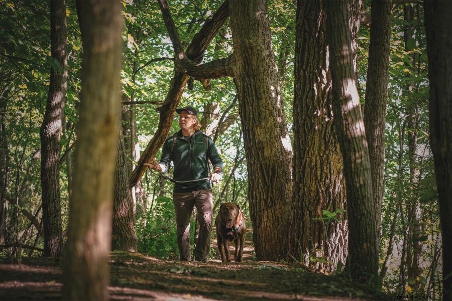 Terra de 10, 000 caminhadas:principais trilhas para conferir em Minnesota 