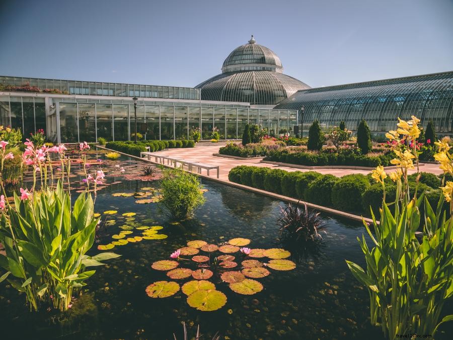 Connectez-vous avec la faune dans ces zoos du Minnesota 