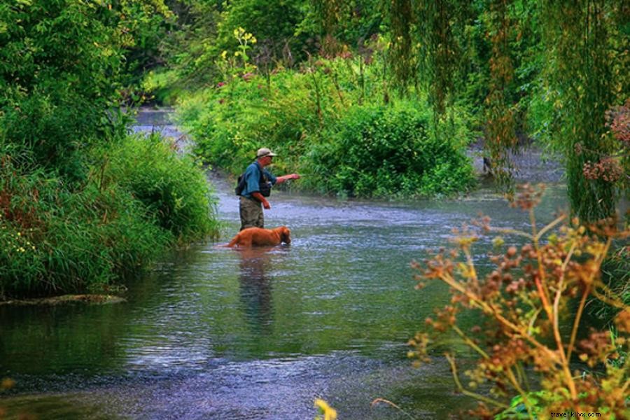 Impresionantes arroyos atraen a los pescadores de truchas a Minnesota 