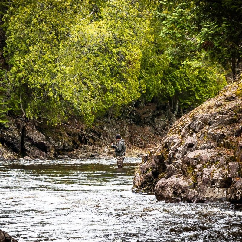 De superbes ruisseaux attirent les pêcheurs de truites au Minnesota 