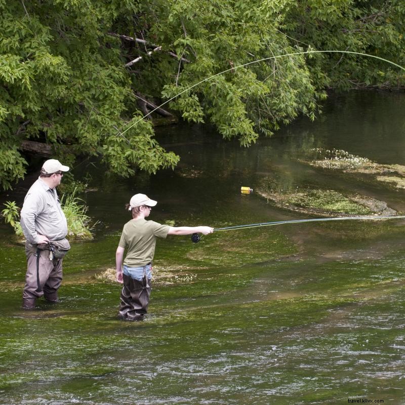 De superbes ruisseaux attirent les pêcheurs de truites au Minnesota 