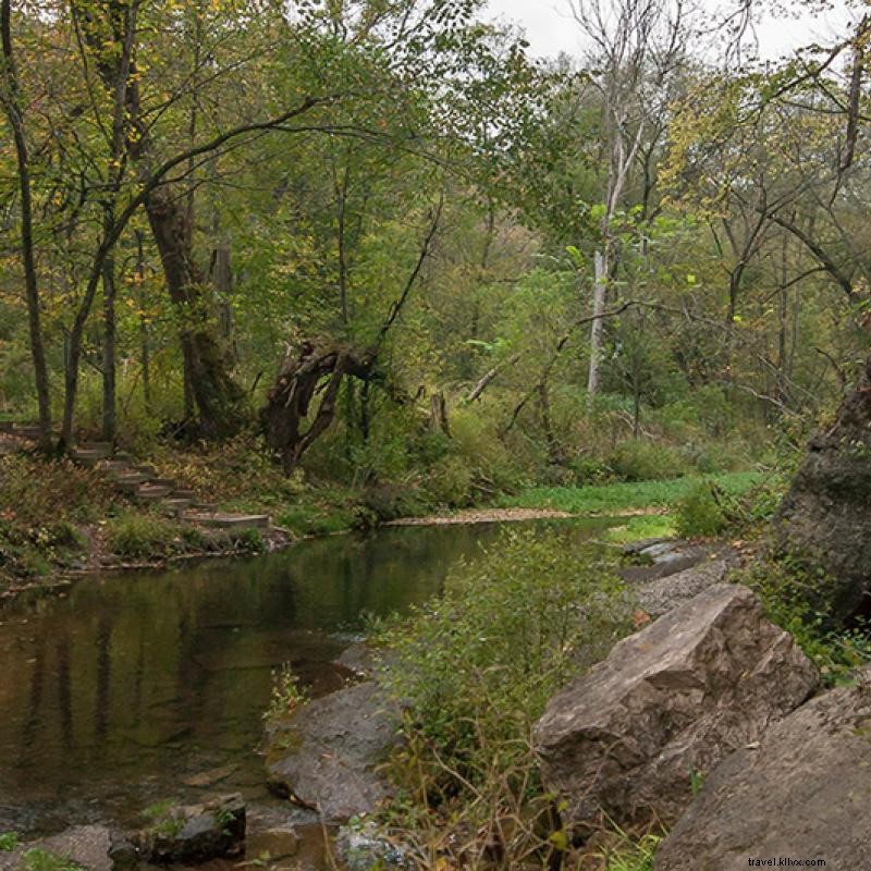 Impresionantes arroyos atraen a los pescadores de truchas a Minnesota 