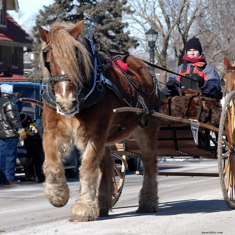 Encuentre diversión helada en estos festivales de invierno de Minnesota 