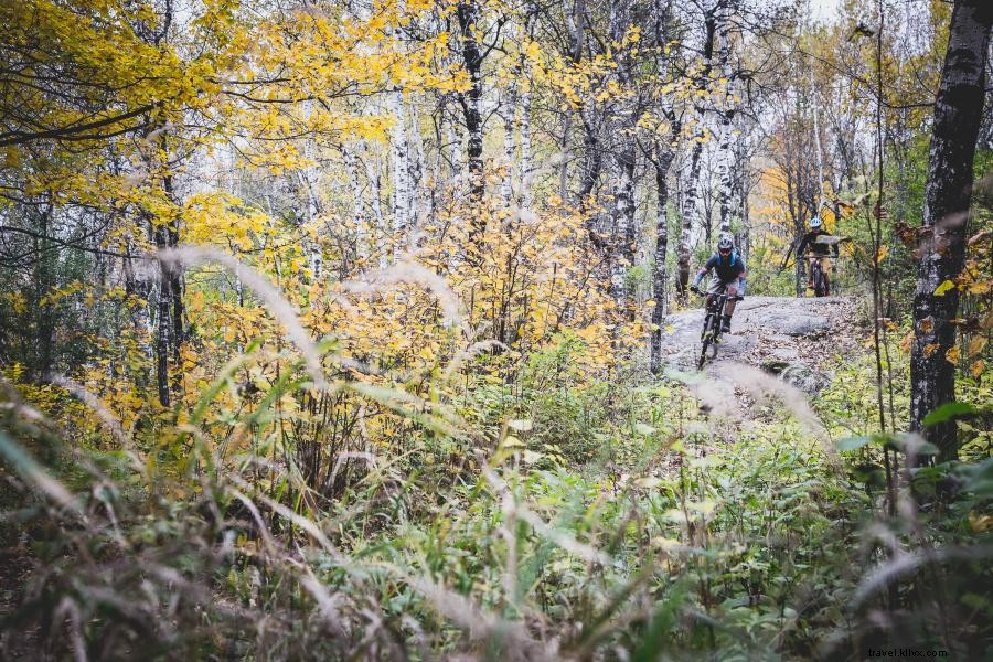 Tempat Bersepeda Gunung di Duluth 