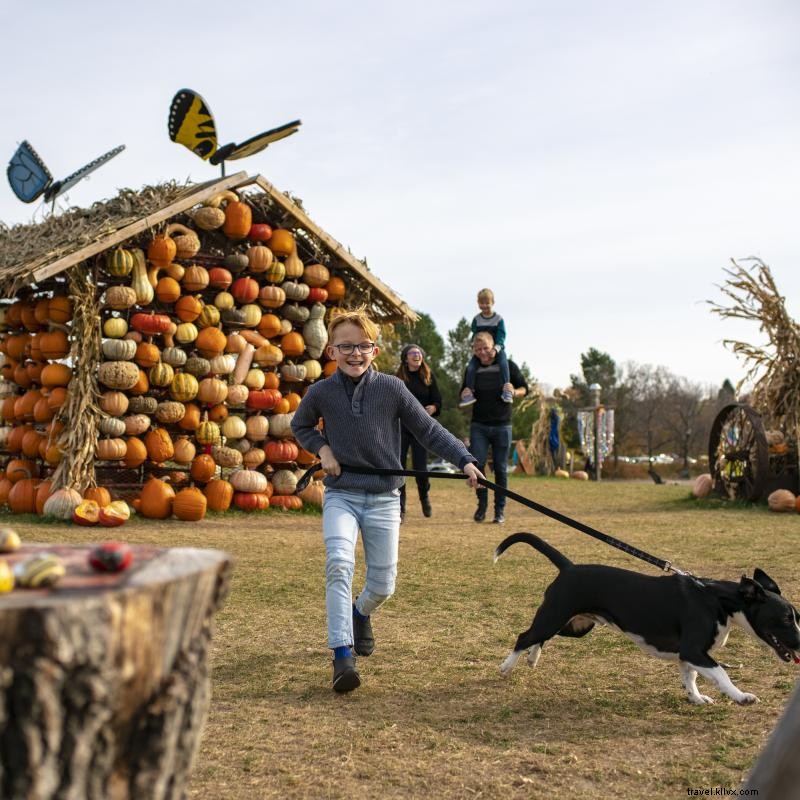 9 parches de calabaza de Minnesota para una aventura familiar 