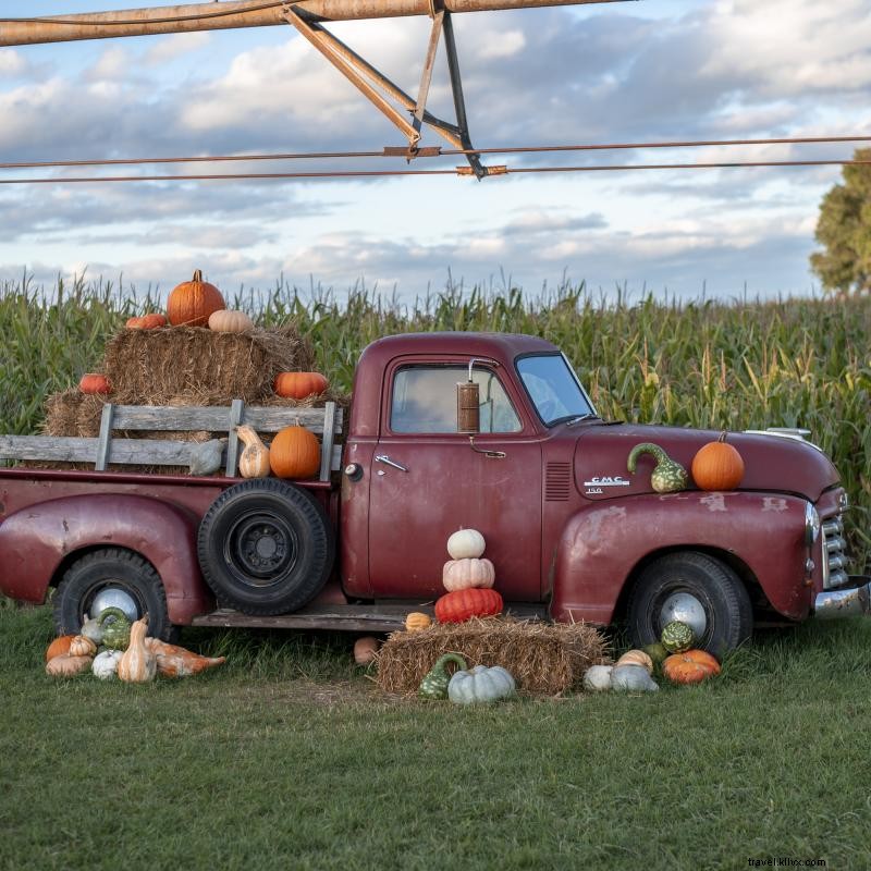 9 parches de calabaza de Minnesota para una aventura familiar 