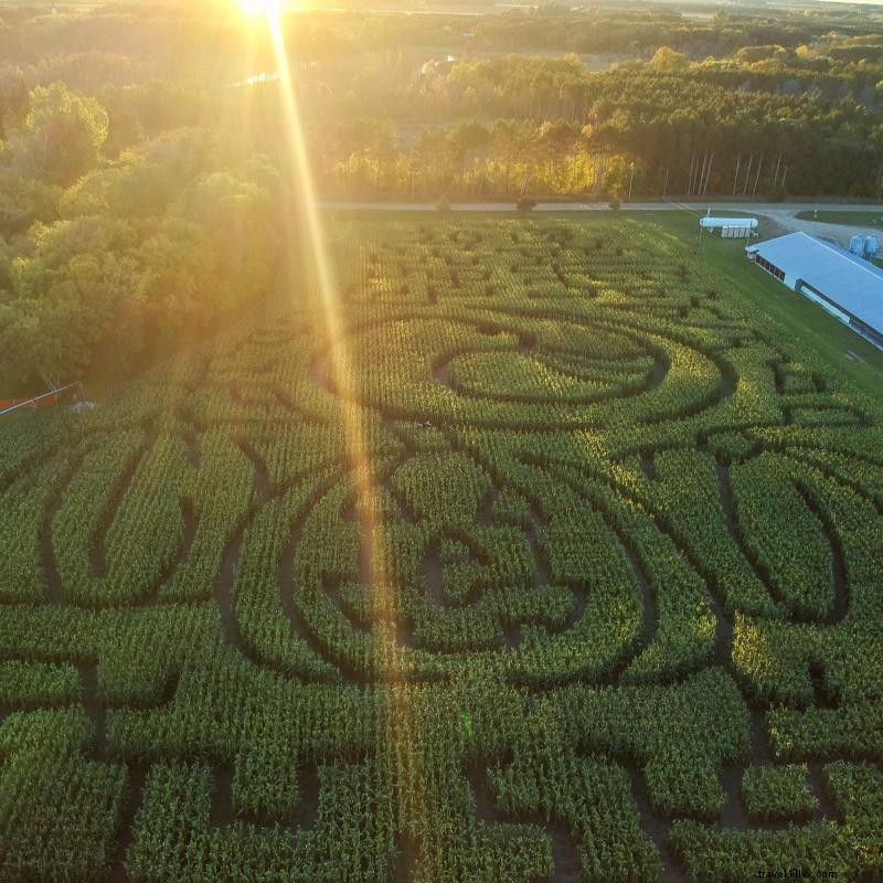 9 patchs de citrouille du Minnesota pour une aventure en famille 