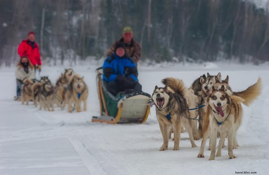 Slitta trainata da cani nelle acque di confine 