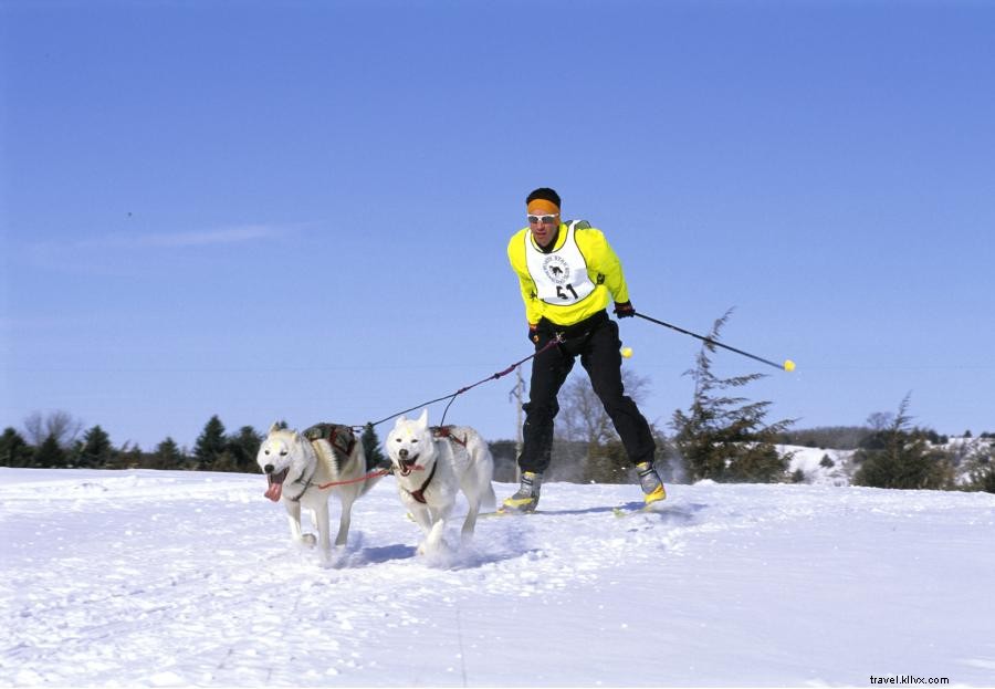 Abbraccia lo stile di vita nordico in Minnesota 