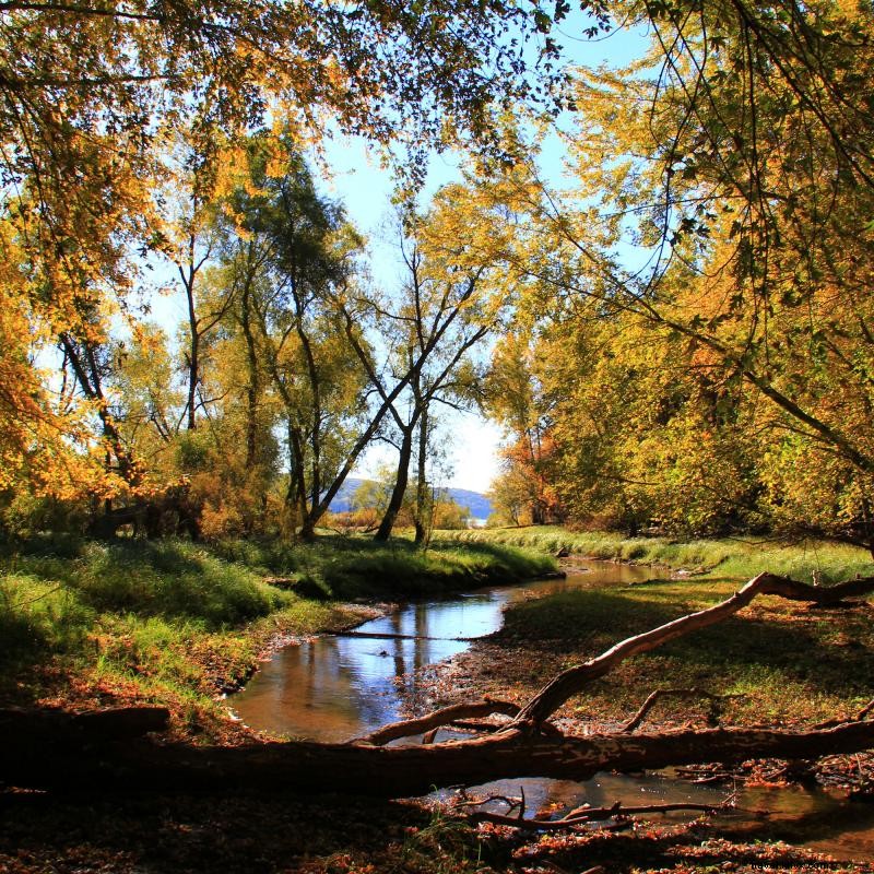 Visitez la vallée de Sainte-Croix pour découvrir de charmantes villes fluviales et des parcs d État pittoresques 