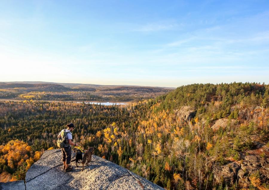 Os lugares mais bonitos para caminhar em Minnesota no outono 