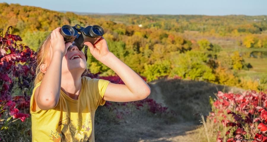 Los lugares más bonitos para caminar en Minnesota en otoño 