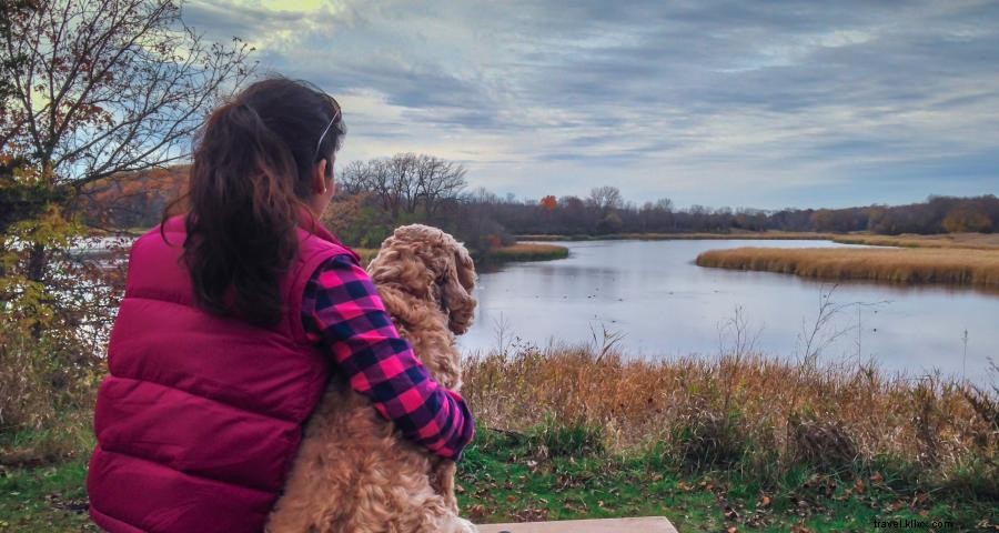 Los lugares más bonitos para caminar en Minnesota en otoño 