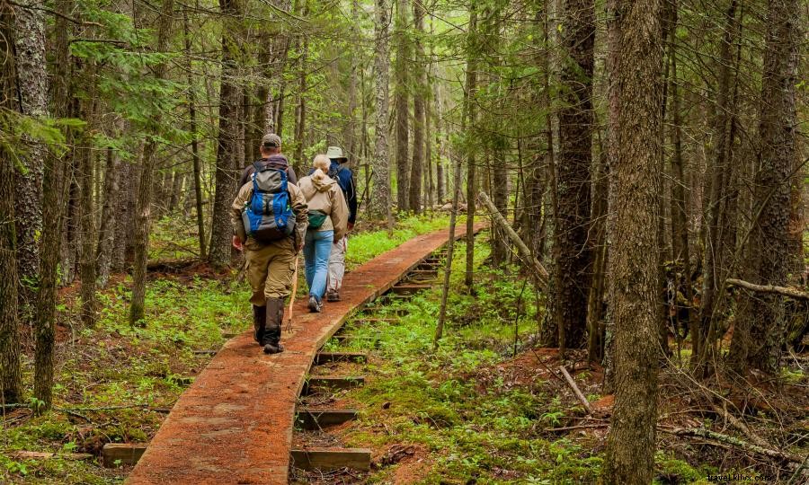 Terra de 10, 000 passos:caminhe ou corra nessas trilhas populares de Minnesota 