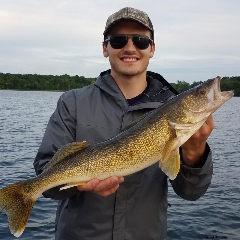 Comment attraper le doré jaune, Poisson de l État du Minnesota 