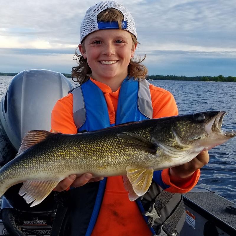 Come catturare Walleye, Pesce dello stato del Minnesota 