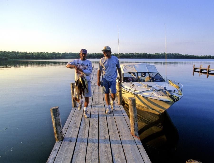 Comment attraper le doré jaune, Poisson de l État du Minnesota 