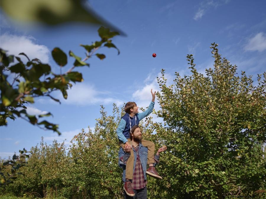 Monte su bicicleta en estos huertos de manzanas de Minnesota 