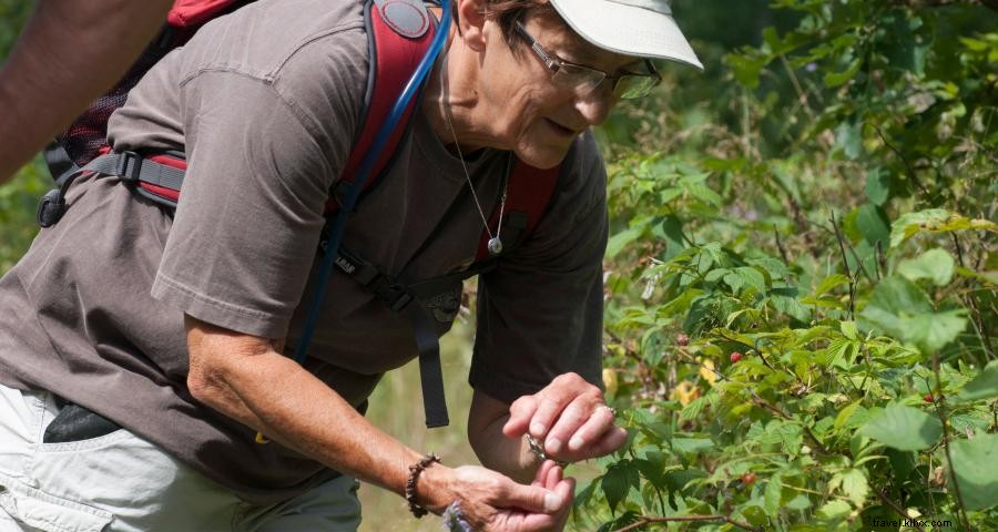 Explore as grandes paisagens ao ar livre de Minnesota procurando alimentos 