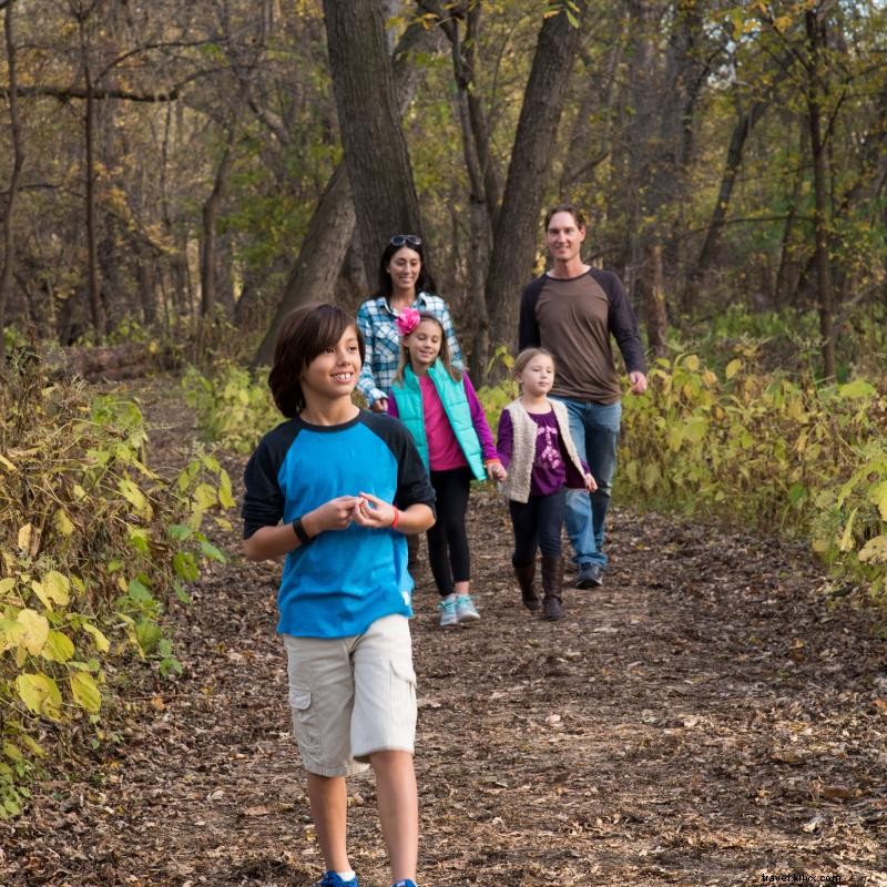 Mengapa Minnesota adalah Tempat Sempurna untuk Pemandian Hutan 