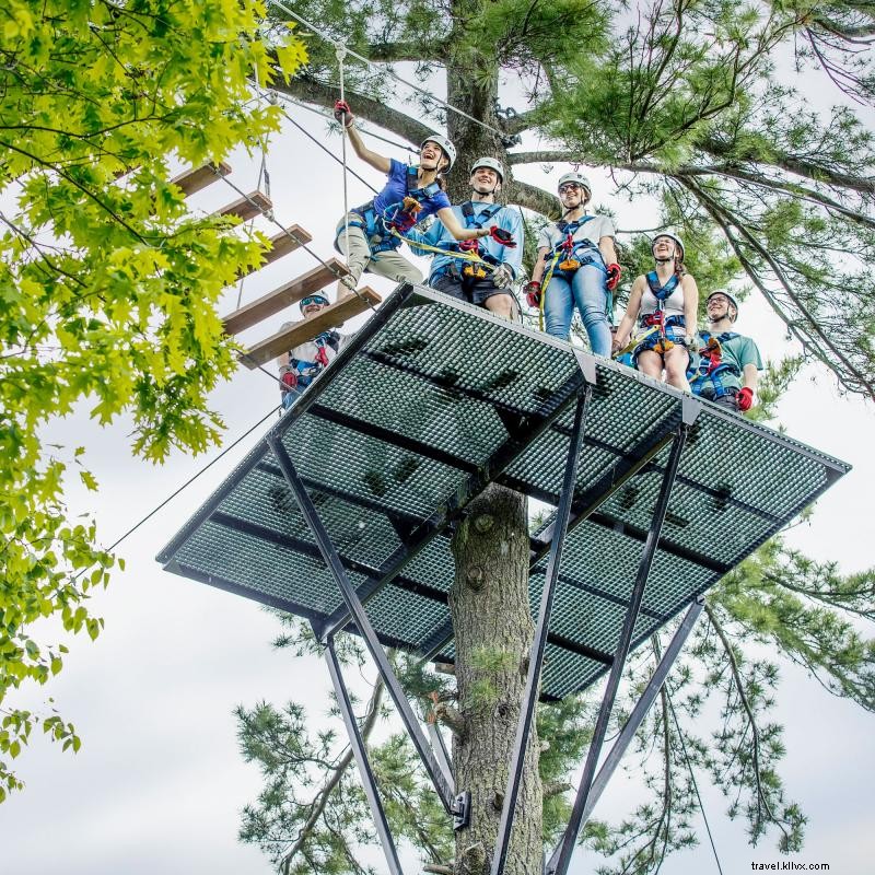 Dove andare Zipline in Minnesota 