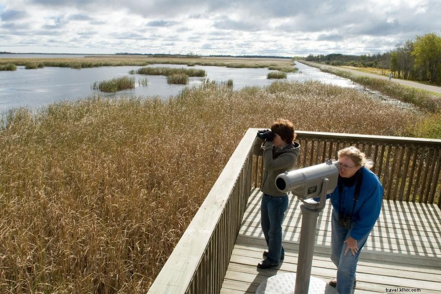 Experimente la migración de otoño en el sendero de observación de aves de pino a pradera 