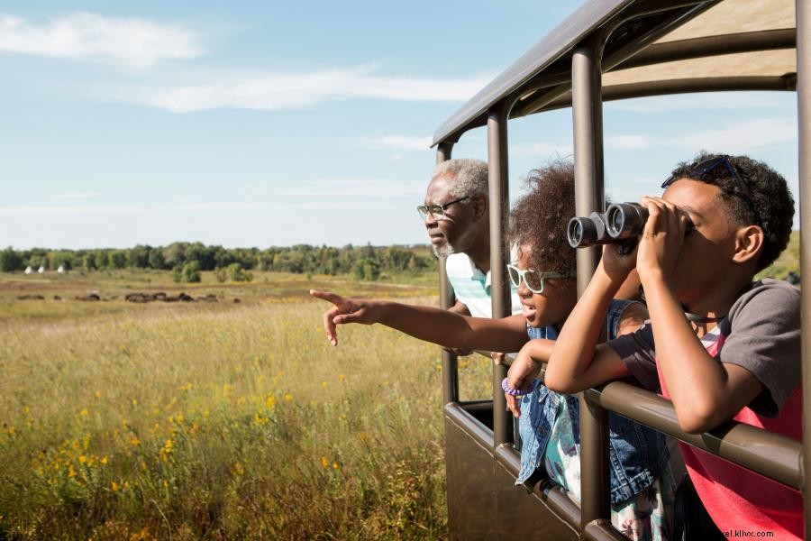 Où voir la prairie d herbes hautes indigènes du Minnesota 