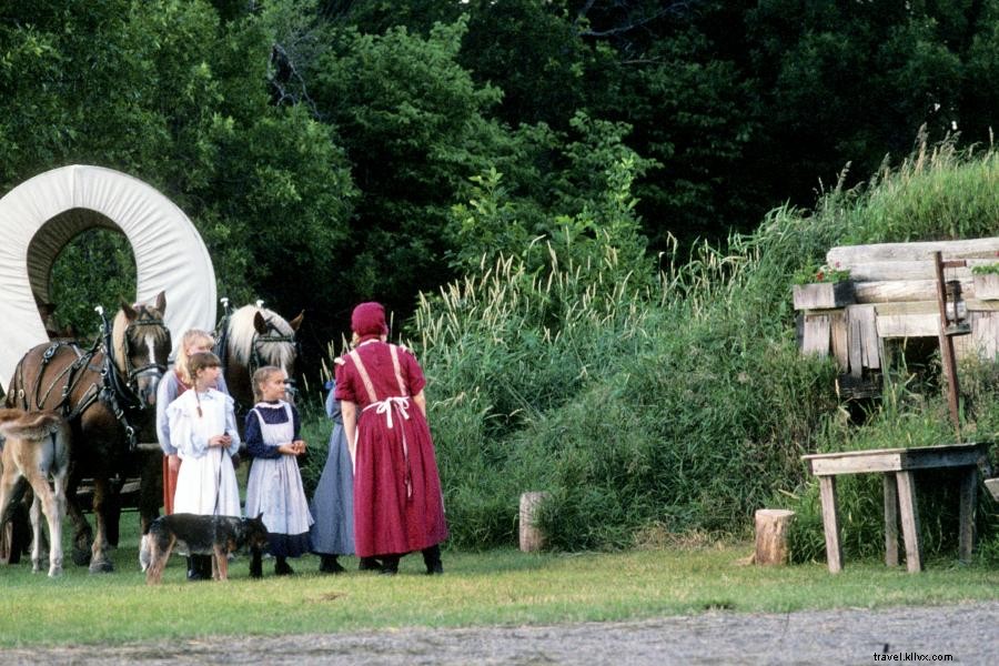 Où voir la prairie d herbes hautes indigènes du Minnesota 