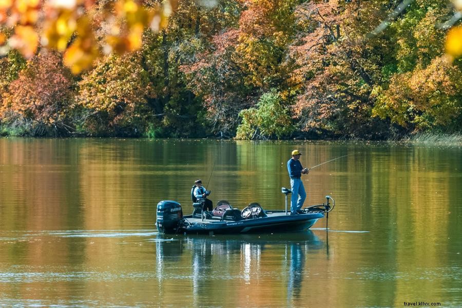 O outono é a melhor hora para pescar 