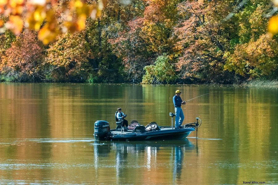 Musim Gugur adalah Waktu Utama untuk Memancing 