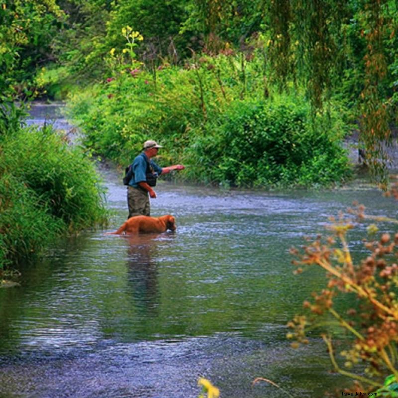 Dónde ir a pescar en el río en la tierra de los 10, 000 lagos 