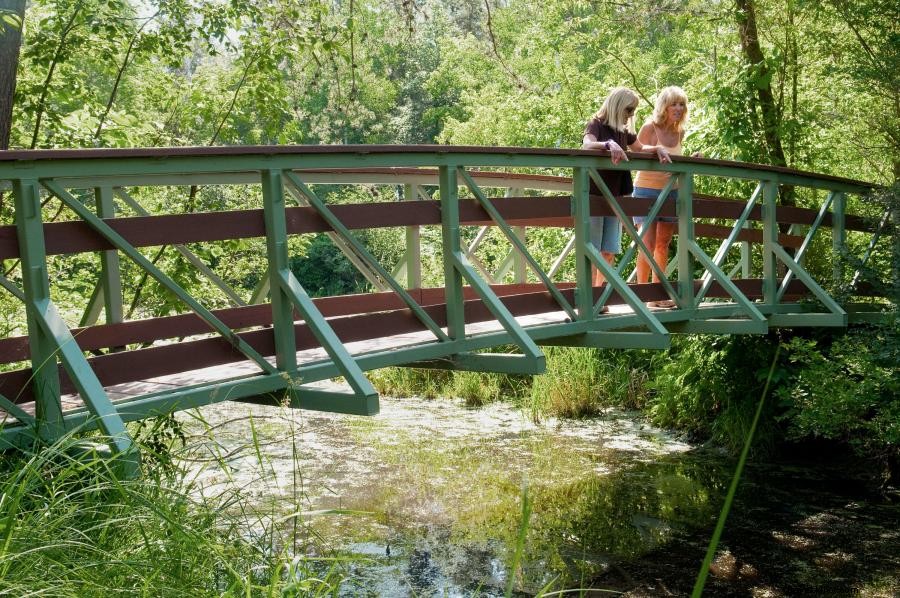 6 Caminhadas e cervejarias em Minnesota que você e seu cachorro vão adorar 