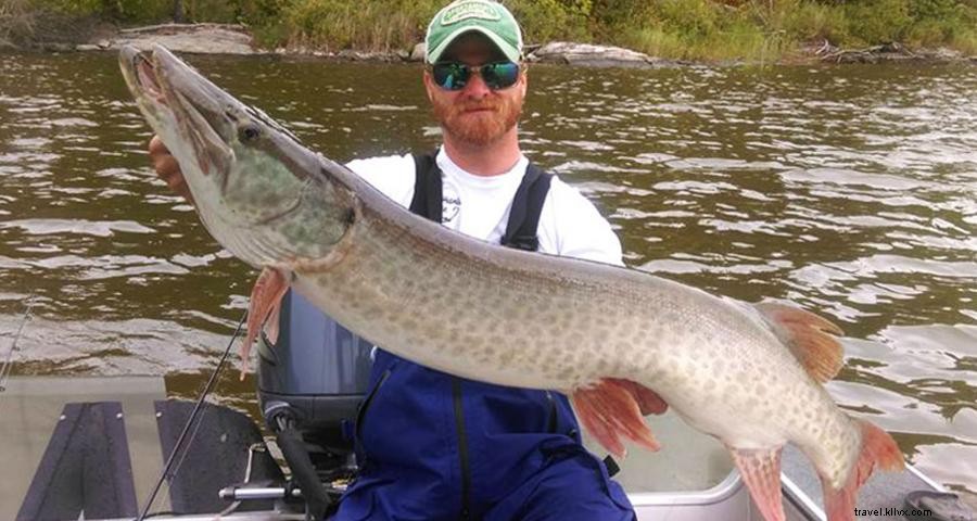 Como pegar um peixe do tamanho de um troféu neste outono 