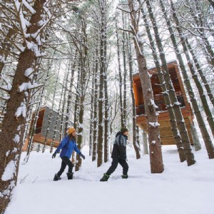 Snowshoe Melalui Hutan Belantara Minnesota yang Luas 