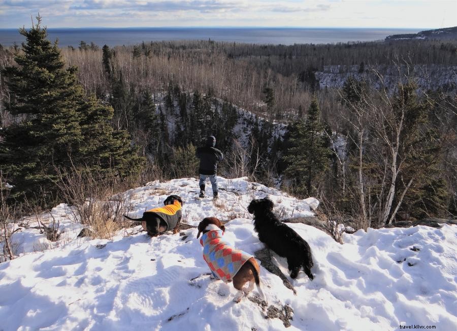 Racchette da neve attraverso il vasto deserto del Minnesota 