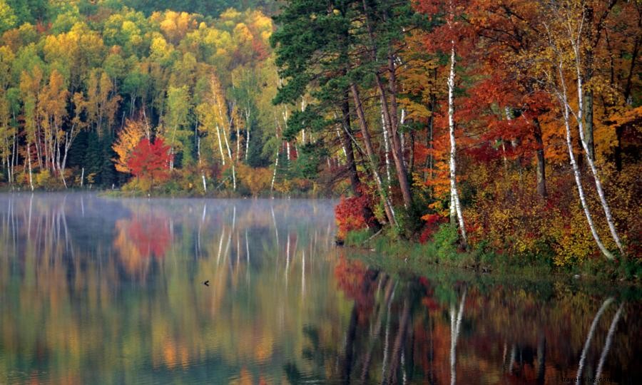 Il Minnesota nordoccidentale è il paradiso dei cacciatori 