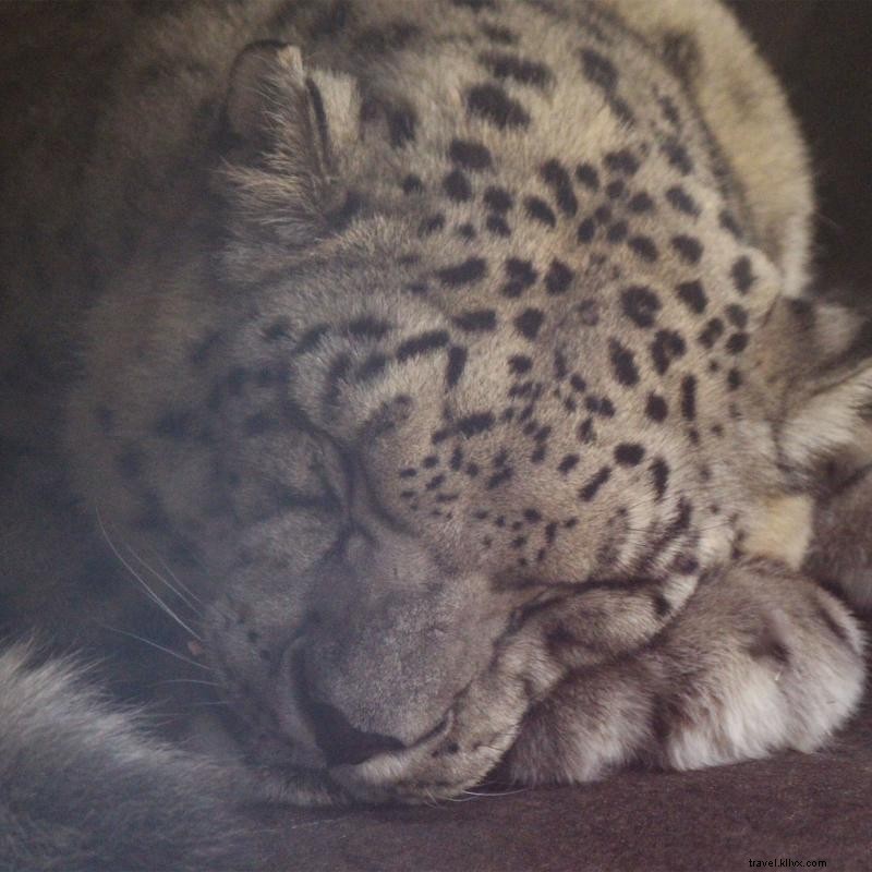 5と混ざり合う ミネソタ動物園の000匹の動物 