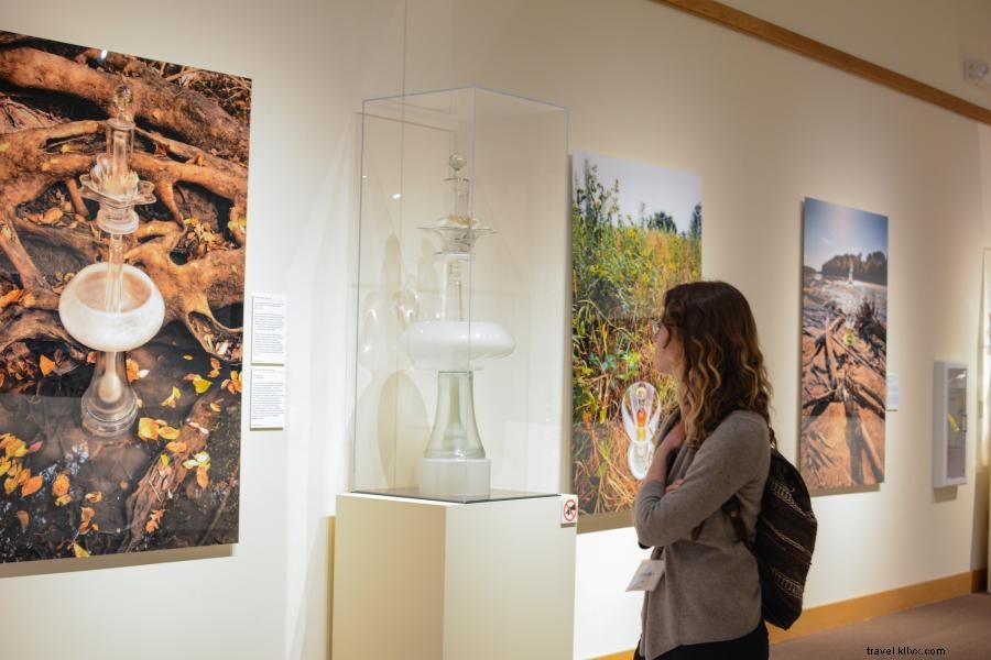 Jelajahi Museum Seni Menakjubkan di Minnesota 