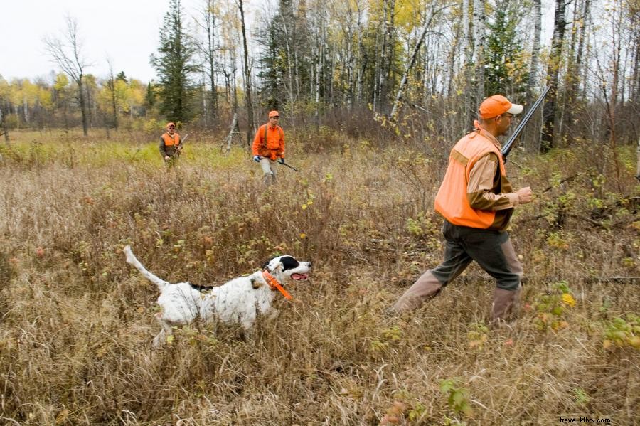 Caccia agli uccelli di montagna in Minnesota:Grouse, Fagiano e altro 