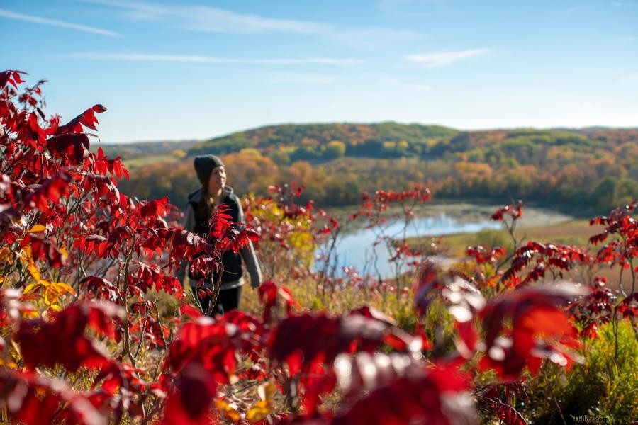 21 incredibili parchi statali del Minnesota per regione 